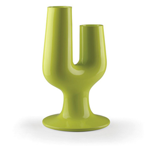 vaso cactus